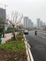 九龙坡龙江路道路改造工程（二期）